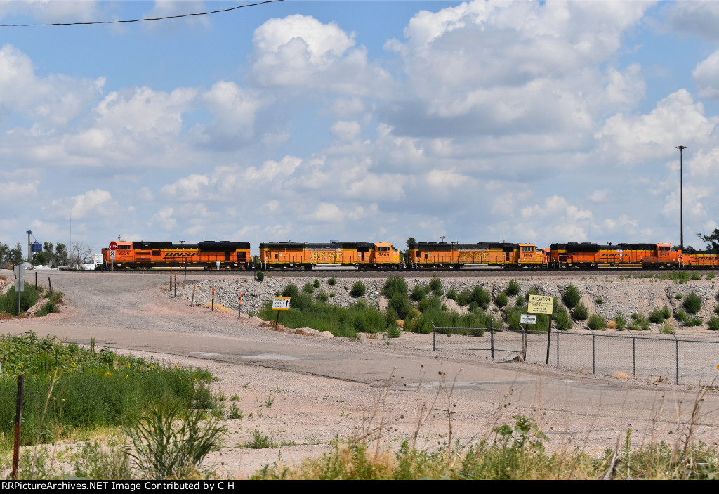 BNSF 8556/9869/9856/8423